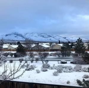 Meet your Posher, Wendy